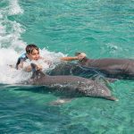 Explore Dolphin Discovery: An Unforgettable Experience in Cozumel